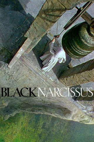 Черный нарцисс (1947)