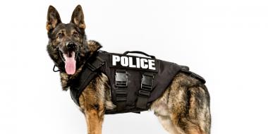 Сериалы про полицейских собак